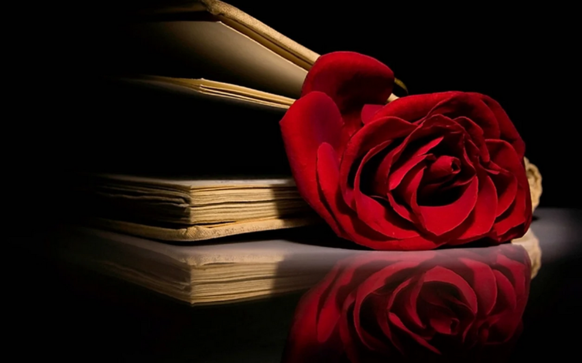The Days and Nights of Catherine Evermore